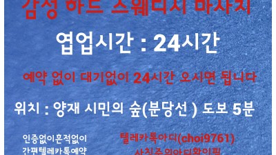 [양재-낙원] -----감성 하드!! 스웨디시 힐링 낙원테라피------------24시간 영업!!-----…