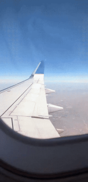909b85fca0458702bcb0ceedbbfa8f8d_1735610166_4733.gif