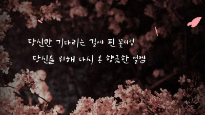 [김포- 밤꽃1인샵] ❤️김포 사이즈 와꾸 1등❤️ ⭐구래동 밤꽃1인샵 ⭐올탈 ⭐스위치 ⭐실사100% ⭐내상…