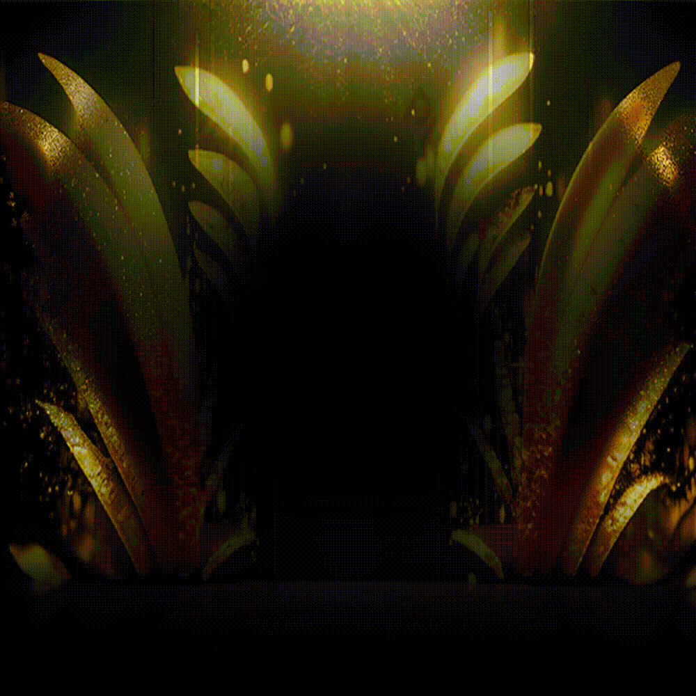 c0f24c0931f333a3a23f4f95c3629f76_1739068188_3199.gif