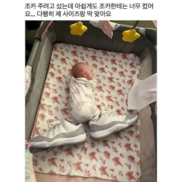 5570dcaf0a87fa2731f5e1f3dad6dbb2_1746145716_3354.jpeg