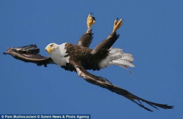 a18f489d2b7993a47a7109ff57a90770_1749391402_8072.jpg 2699961651_QfhPVKC1_aaf9cae091f35e4da5646f3b7b670d0179f35d36.jpg