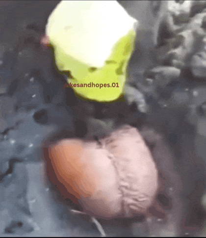 2699961658_pj0TlK3N_821a039ca80a10b8be97ea05e37fe9b132f17c7e.gif