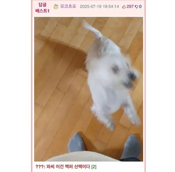 b279a8b306f8ea40b56fa3a9de202980_1754994491_9941.jpeg