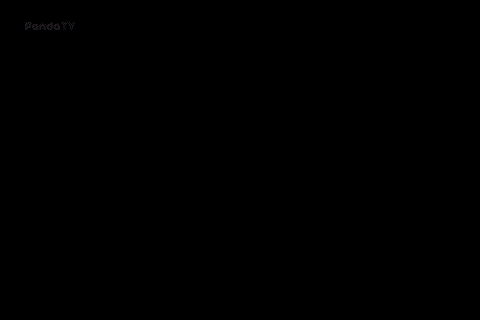 3391873082_KC4Uj2I7_e52b172b347b8d783331025cb0e78d6ada975087.gif