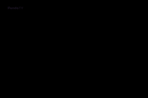 3391873082_Mur2FvBg_75305a768a964d39fc20e5dd0f7015986493c634.gif