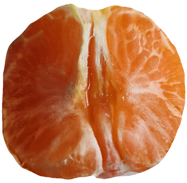 1502831919_g3xbFQAn_d8bf4e8942efabd1b2ab4b8ef9f4b2fbaa9cae36.png