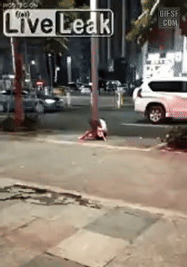 1502831919_jMBcD1HA_c2a7233d9677807b576d337dbc2d218ad2a0fc17.gif