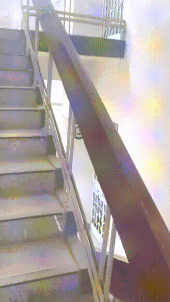 2699961628_qVPsIW2v_9ec1981598e8a1097a1c1202d63aa16a18ff294a.gif