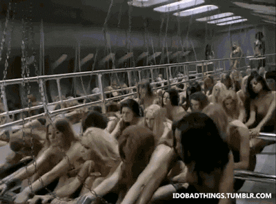 2699961654_GwyjD07C_06afa27fd970bef2847569e15cdf9cd8ff581b82.gif