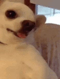 2699961654_Pd8BKlOv_994ca43b43c63bb4ab3785adc3442e194075065a.gif