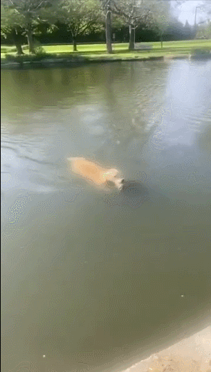 2699961654_syIBPCep_3517c098cc72e16c0c99bd9854f3a35a28fd0ea2.gif
