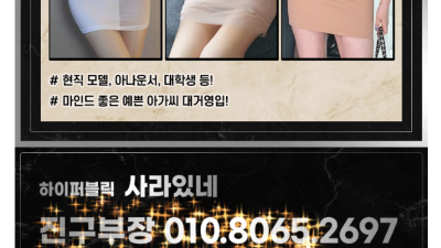 [강남-❤️사라있네하이퍼블릭❤️(진구부장)] ✴️세미카페&하이퍼블릭⛔➿✅✡️전타임주대10만원 강남최저가✡️✅…