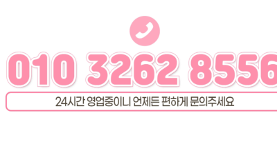 [가락-♥외로운사람들♥[사나실장]] ♥️가락동 무조건최고 자신♥️24시간풀영업❤️말뿐이아닌 최고의 진행 약속…