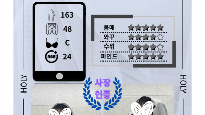 [영등포-홀리스웨디시] ❤️연중무휴❤️ 여의도 최강 극강 하드스웨디시 ❤️ 더욱 업그레이드 된 에이스!!! …