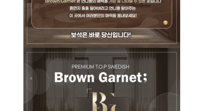 [강남-브라운가넷] ✨✨[Brown Garnet]✨✨ 보석세공급 관리❤️ 압도적 퀄리티⭐️