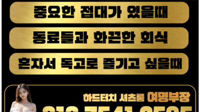 [홍대-하드꼴릿셔츠룸] 캐슬여명❤️이벤트중❣️하드터치❣️벗고노는곳❣️야르한곳❤️무한초이스❤️대학생❤️승무원❤…