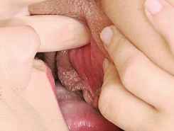 2699961636_Mf0a9quw_41f770e42964ade85a2f69813693412568b4c528.gif