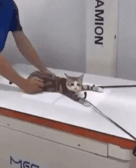 2699961636_UxKdZarH_d1ca49f7f55d501695b4c04bac68ad76ca3b4eda.gif