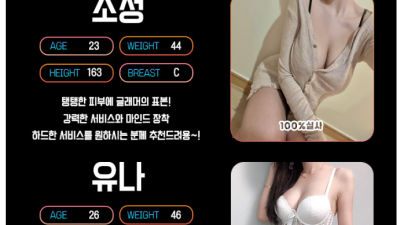 [강남-홍춘희] !!!!!!!!긴급전화변경 010-8384-5312!!!!!❤▁▂▃▅▆▇ 강 남 홍 춘 희 …