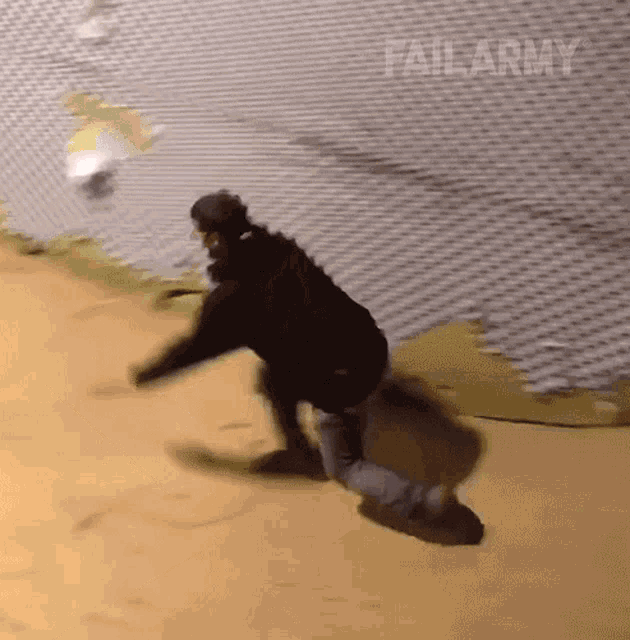6652da27b05ace1aeed54034d43fd9f8_1780071903_2932.gif