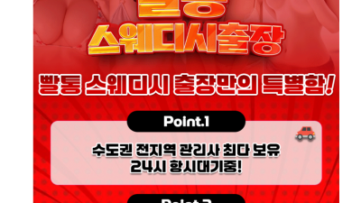 [강남-⏩⏩✨한국❤️일본❤️혼혈✨빨통스웨디시⏪⏪] ❤️업계1위 와꾸&마인드❤️⭐선입금❌출장비❌내상❌ 24시 …