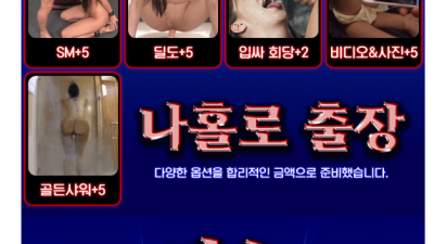 [대전-나홀로출장] 새롭게 시작합니다 / 와꾸좋고 마인드 좋은 애들만 있습니다 / 만족하실겁니다