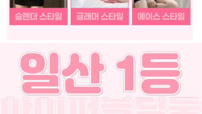 [일산-✨추천✨] ❤️신뢰-100%❤️정말 일 잘합니다 ✨추천✨