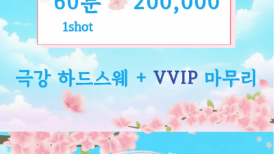 [수원-쓰리GO 1인샵] ▓▒❤️넣GO싸GO❤️▒▓ ❤️추가금 없이 모두포함❤️ ████프리미엄 스웨디시+V…