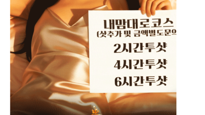 [강남-VVIP금수저] ⎝⎝⭐[VVIP금수저]강남 No.1⭐⎠⎠✨VIP의 품격에 걸맞은 특별한 혜택, 지금 …