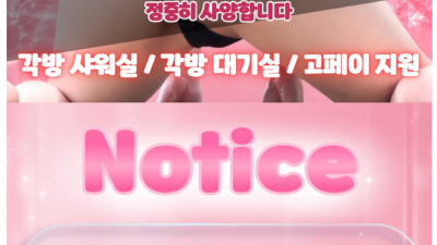 [분당-도파민] ❤️신규 분당 야탑역2번출구 ❤️ - ✅ 도파민 ✅ ❤️ 20대 NF 영입 ❤️ 포핸드가능 …
