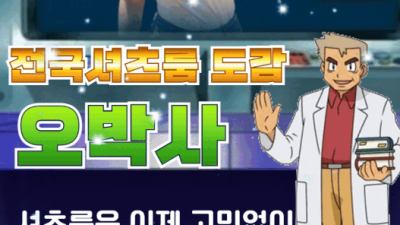 [안산-HOT개걸레 셔츠룸] (10/04(일)>05(월)✨불일✨24시✨현시간영업중✨ HOT 신규오픈 개걸레 …