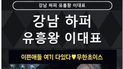 [선릉-[프리미엄VIP]✈️합법성추행✈️] ❤️여대생❣️최상의 서비스 극강의 마인드를 약속 드리겠습니다!비교…