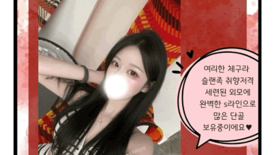 [동대문-‼️1등 프리미엄 OP‼️] ❤️동대문 1등업소❤️도비타신치 ❤️전원20대 ❤️마인드❤️ ❤️즐달보…