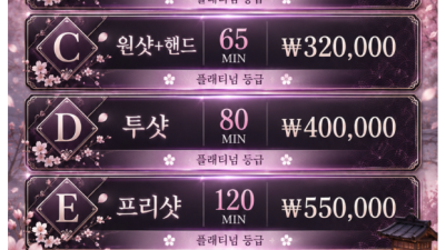 [청주-오사카니혼진] 찐 일본op 뉴 오픈 찐일본인아니면 100만원 동남아 창녀면 100만원 ! NF 대거영…