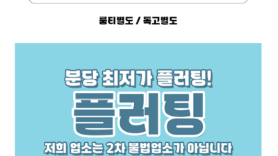 [분당-플러팅] ★★★★★ 노래방 보다 싼곳!! 전원20대 언냐들~ 플러팅 분당 정자동 상륙!!★★★★★