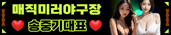 ❤️매직미러❤️야구장❤️김연아 gooddog4370