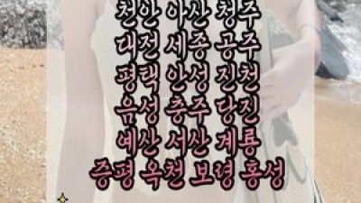 [천안-파트너출장] ⛳출장전문⛳24시❤️ '' 믿고보는 원조출장업체 '⚡ 짜릿한 감동서비스 ⚡,출중한 마인드…